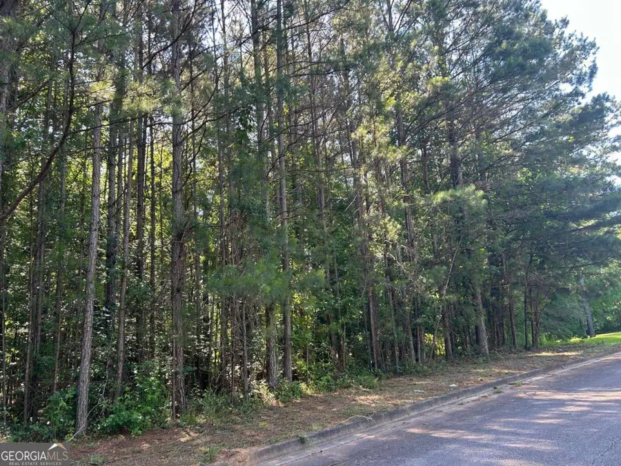 136 Harrison Place, Hampton, GA 30228 - #2