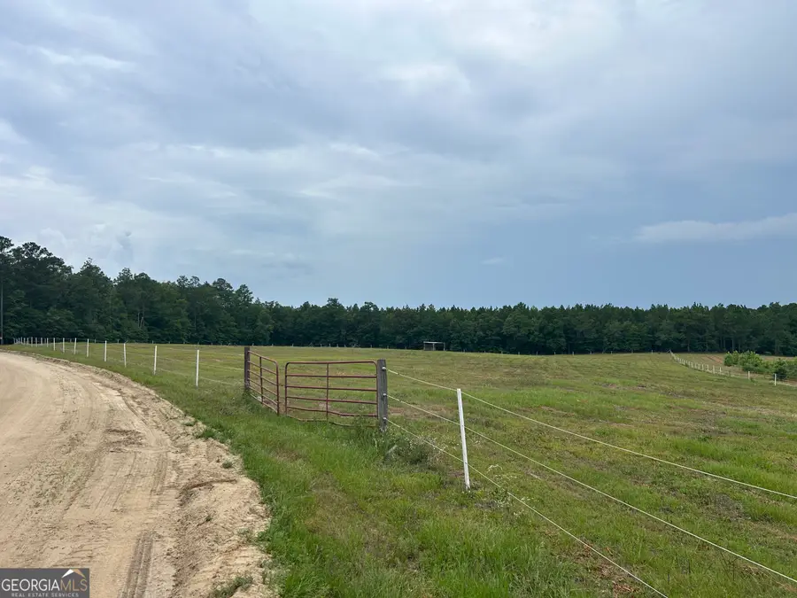 0 B Wynn Ln, Chester, GA 31012 - #2
