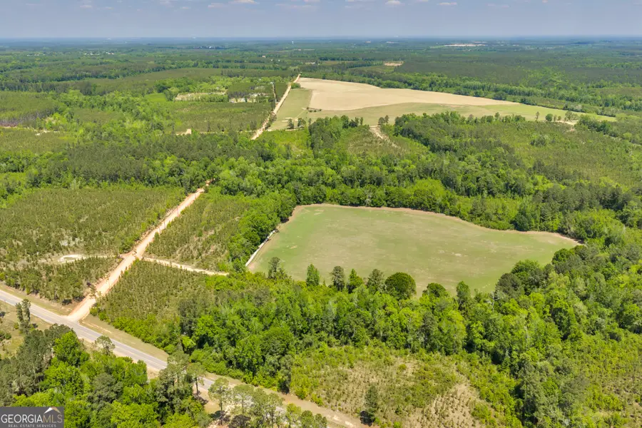 32 Hwy 126, Cadwell, GA 31009 - #2