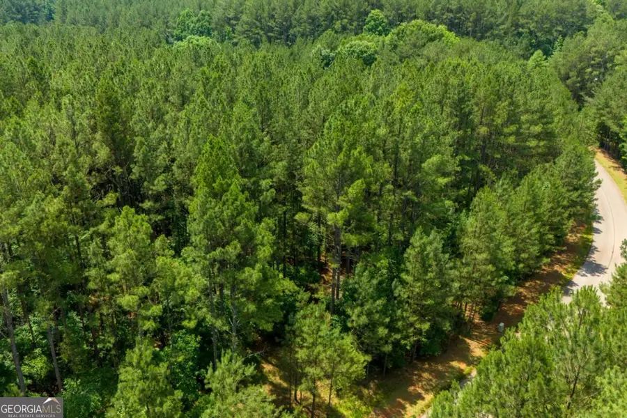 1441 Riverwalk Road, Bishop, GA 30621 - #3