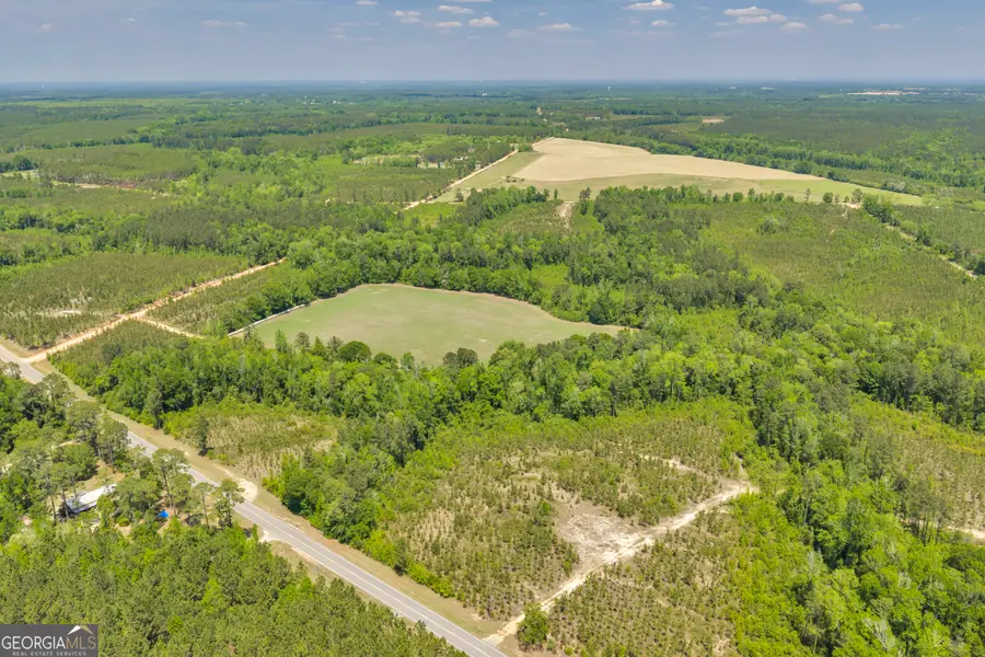 33 Hwy 126, Cadwell, GA 31009 - #2