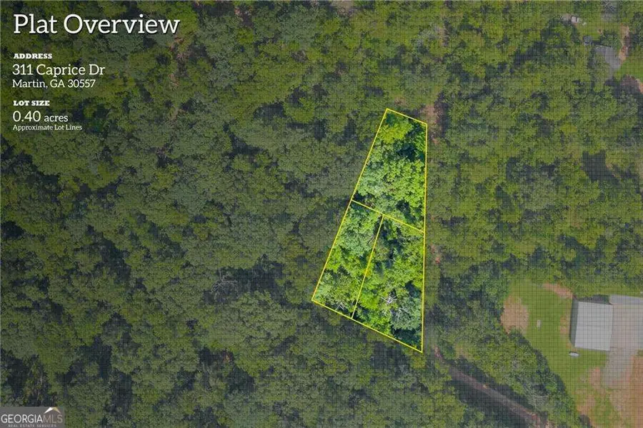 311 Caprice Drive, Martin, GA 30557 - #2