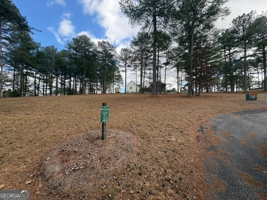 LOT 87 Creek Hollow Lane, Blairsville, GA 30512 - #3