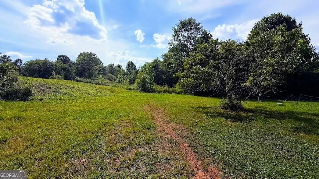 380 Nix Road, Bremen, GA 30110 - #1