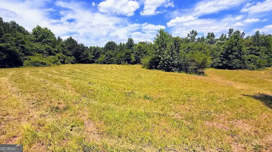 0 Nix Road, Bremen, GA 30110 - #3