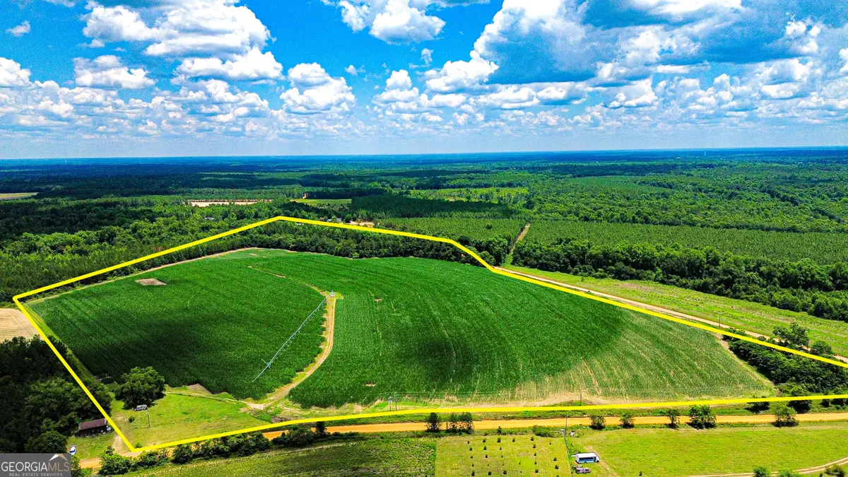 2941 J D Williams Road, Cadwell, GA 31009 - #1