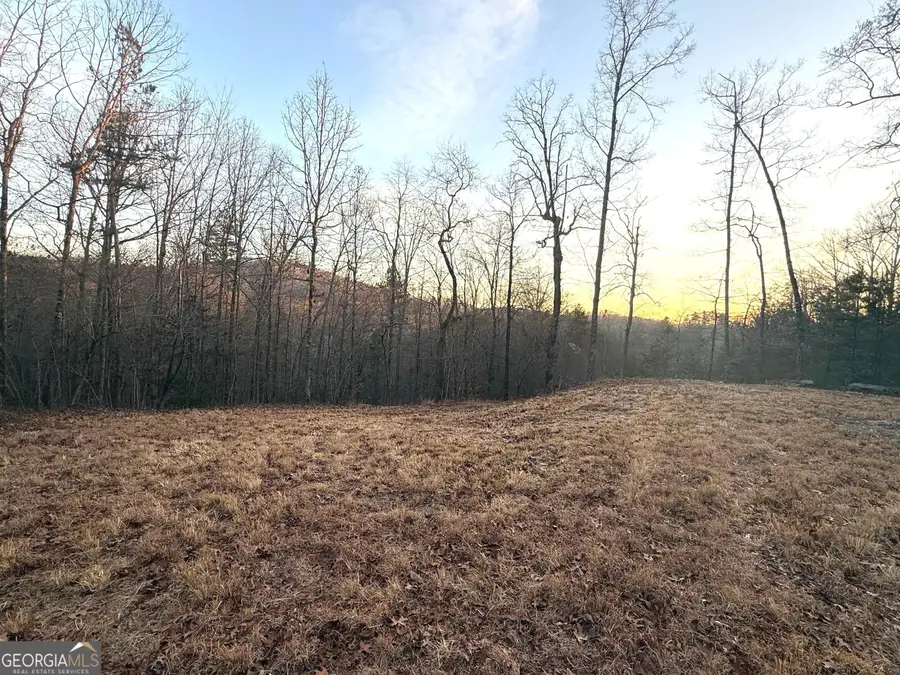 426 Rockhouse Crossing, Demorest, GA 30535 - #2