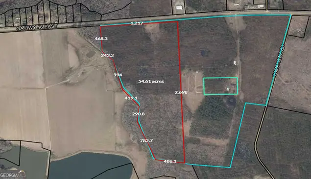 HWY 46 EAST OF  Hwy 46 East Of Metter, Metter, GA 30439 - #2