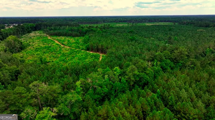 0 Highway 204 & Carlos Cowart Road, Pembroke, GA 31321 - #3