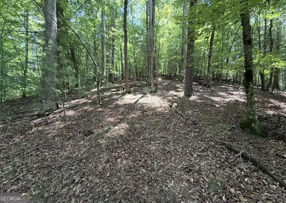 LOT 2607 Magnet Court, Ellijay, GA 30540 - #1