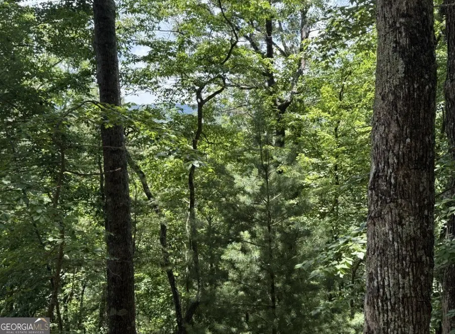 LOT 2607 Magnet Court, Ellijay, GA 30540 - #2