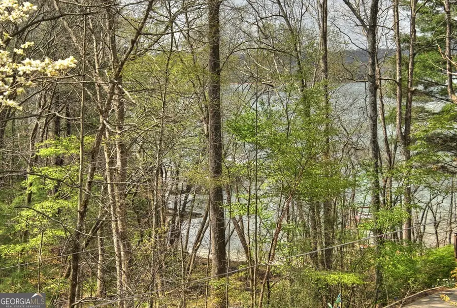 32 Lake Front, Morganton, GA 30560 - #2