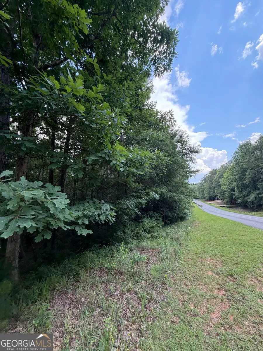 0 Serenity, Cataula, GA 31804 - #3