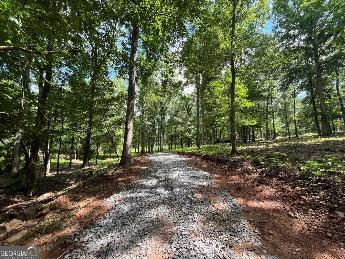 20 +/- AC Crooked Creek Road, Eatonton, GA 31024 - #1