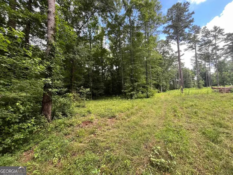 20 +/- AC Crooked Creek Road, Eatonton, GA 31024 - #2
