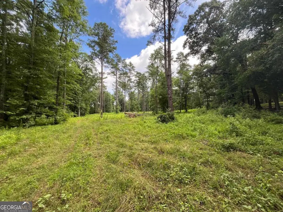 20 +/- AC Crooked Creek Road, Eatonton, GA 31024 - #3