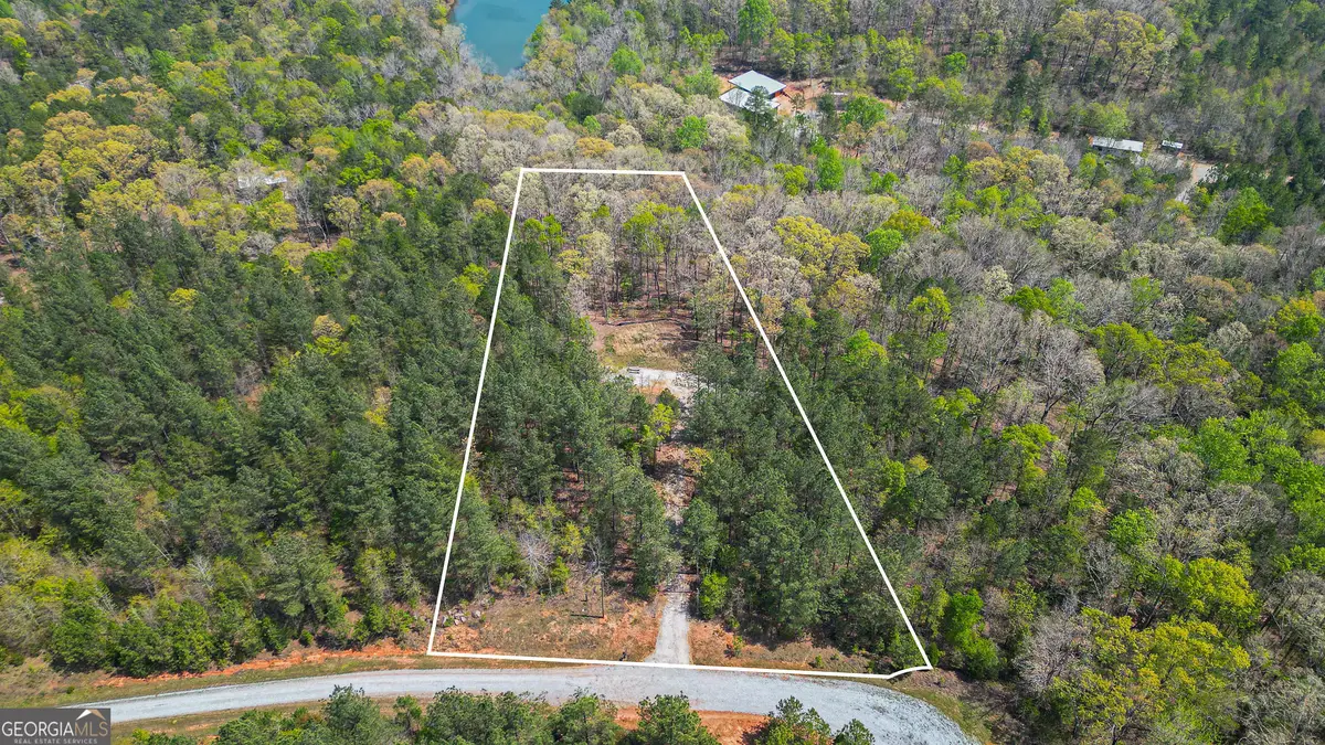 1043 Long Pine Lane, Elberton, GA 30635 - #1
