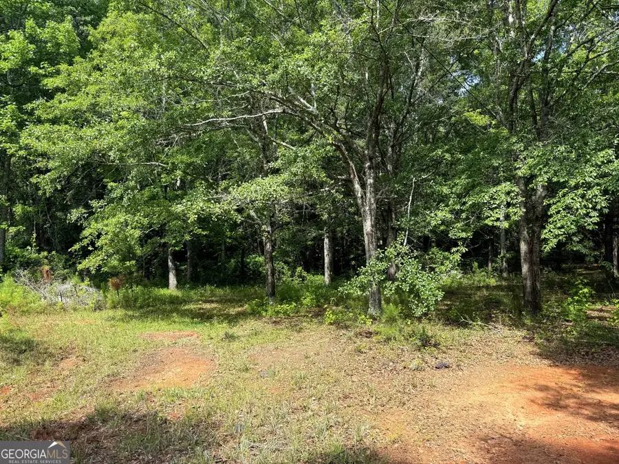 2391 Chalybeate Road, Manchester, GA 31816 - #2