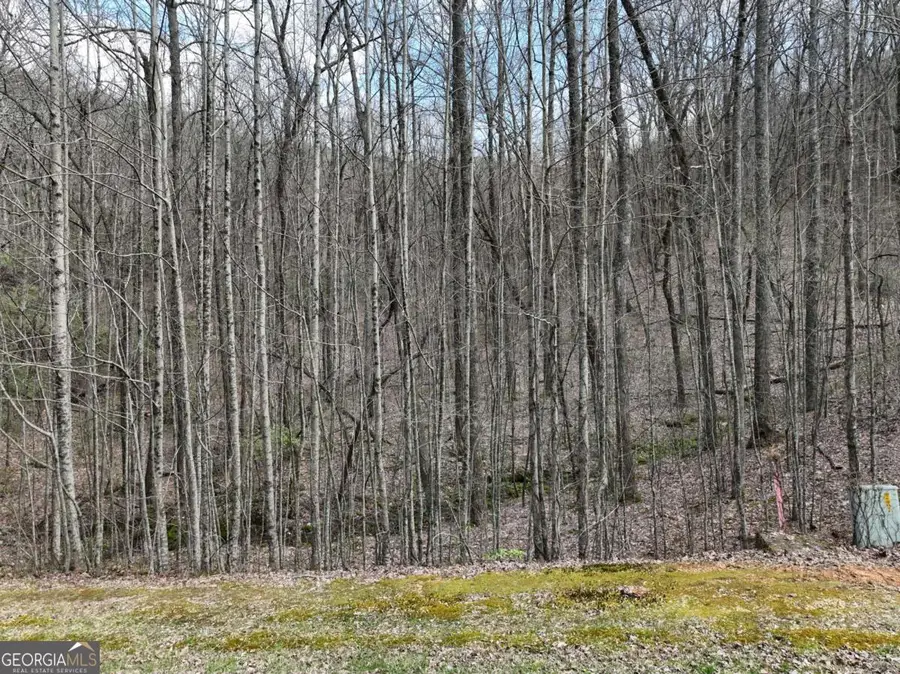 64 St Andrews Way, Ellijay, GA 30536 - #2