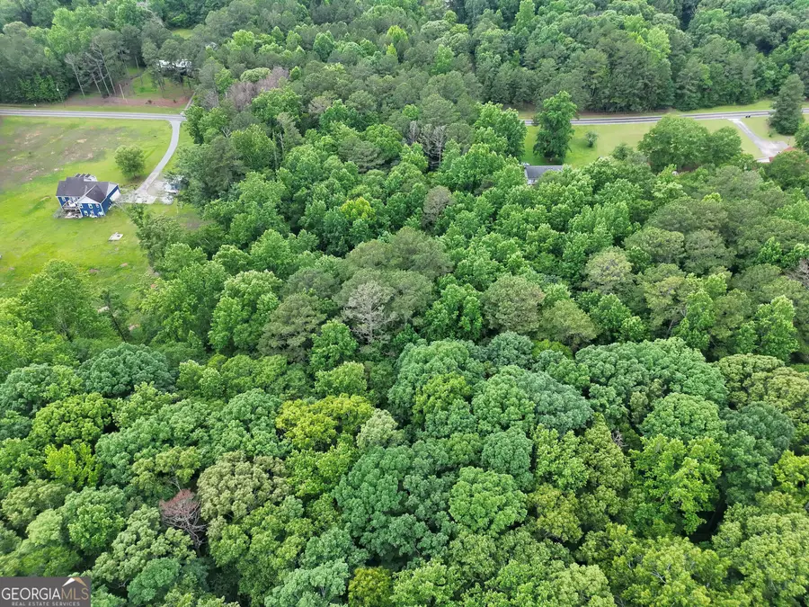 585 Wynn Road, Newnan, GA 30263 - #3