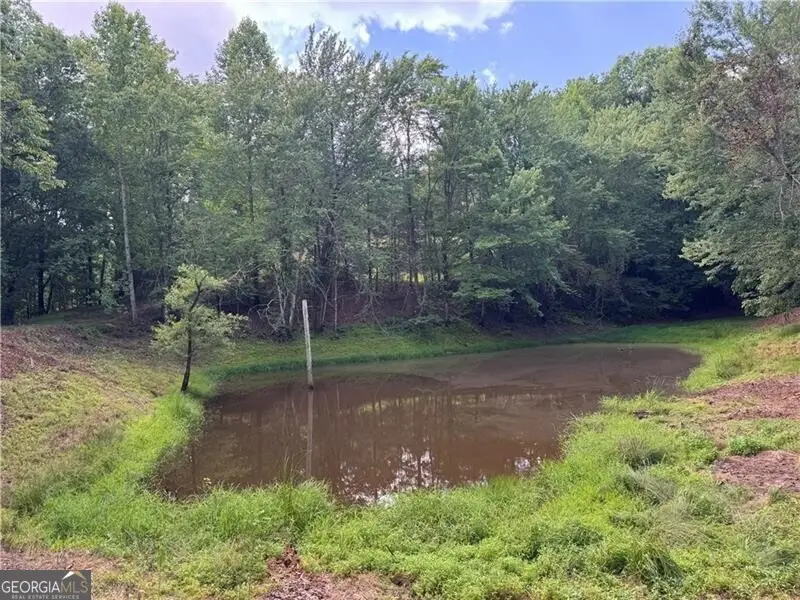 00 Ben Higgins Road, Dahlonega, GA 30533 - #1