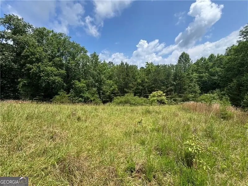 00 Ben Higgins Road, Dahlonega, GA 30533 - #2