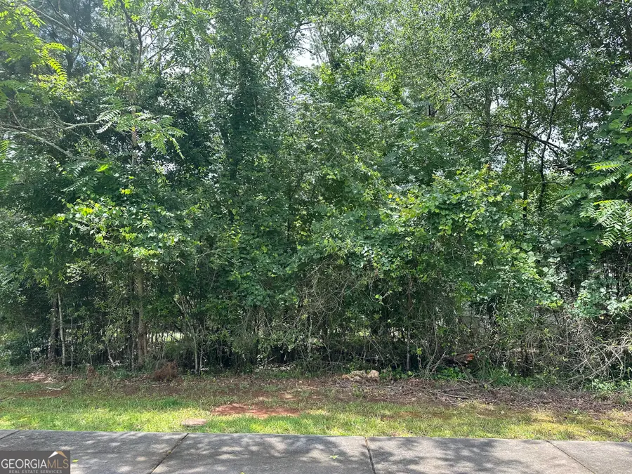 1361 Arborgate Street, Madison, GA 30650 - #3