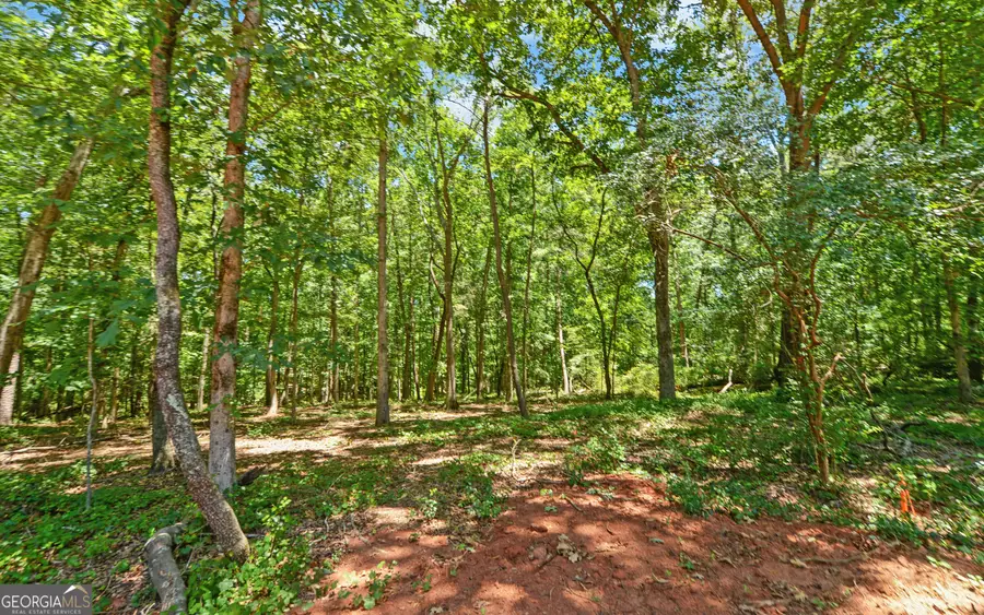21 Blossom Trail, Lavonia, GA 30553 - #3