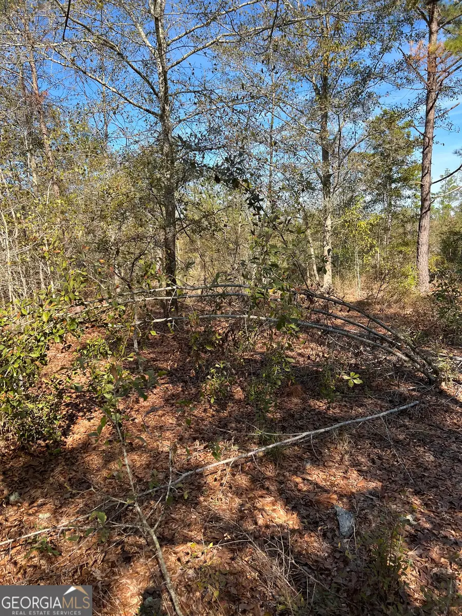 1432 Rozar Gooslby Road, Eastman, GA 31023 - #2