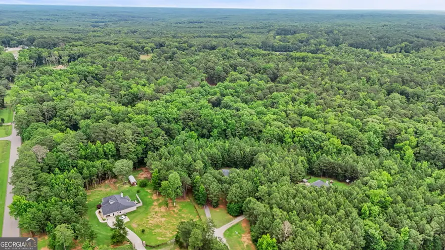 3534 S Highway 29, Moreland, GA 30259 - #2