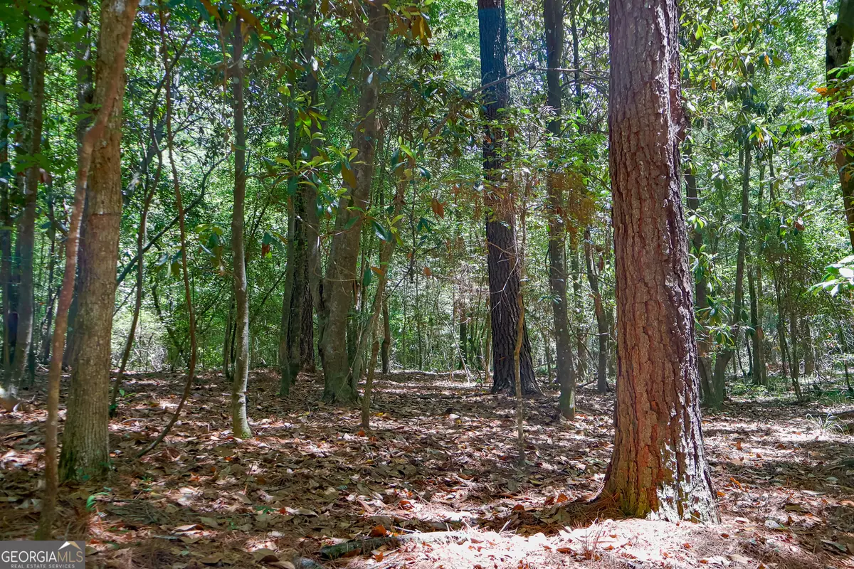 232 Crane Road, Cochran, GA 31014 - #1