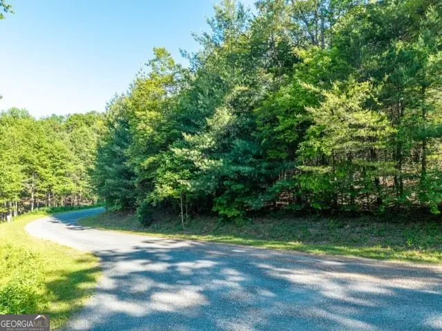 LOT 52 The Preserve Mountaintown Creek, Ellijay, GA 30540 - #1