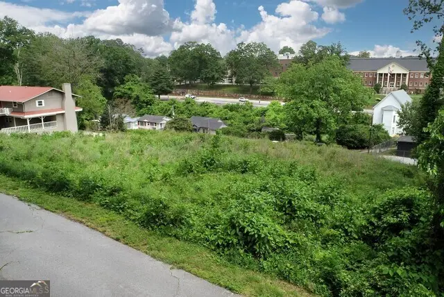 170 Tomlin Alley Alley, Demorest, GA 30535 - #3