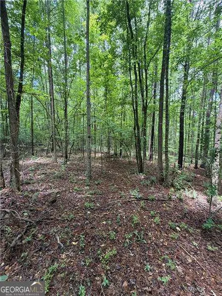 8915 Cedar Grove Road, Fairburn, GA 30213 - #3