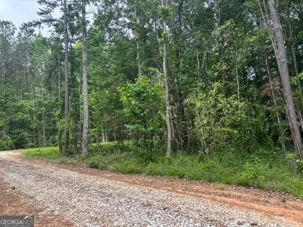 TRACT 2 343 County Road 892, Wedowee, AL 36278
