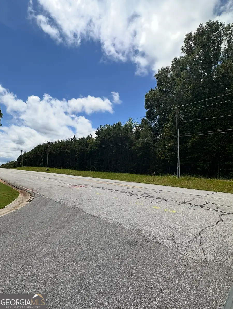 0 Bob Smith Road #13, Sharpsburg, GA 30277 - #3