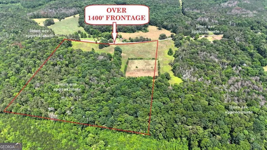 00001 Melear Road, Bowdon, GA 30108 - #3