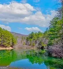 0 Golden Delicious Road, Clarkesville, GA 30523