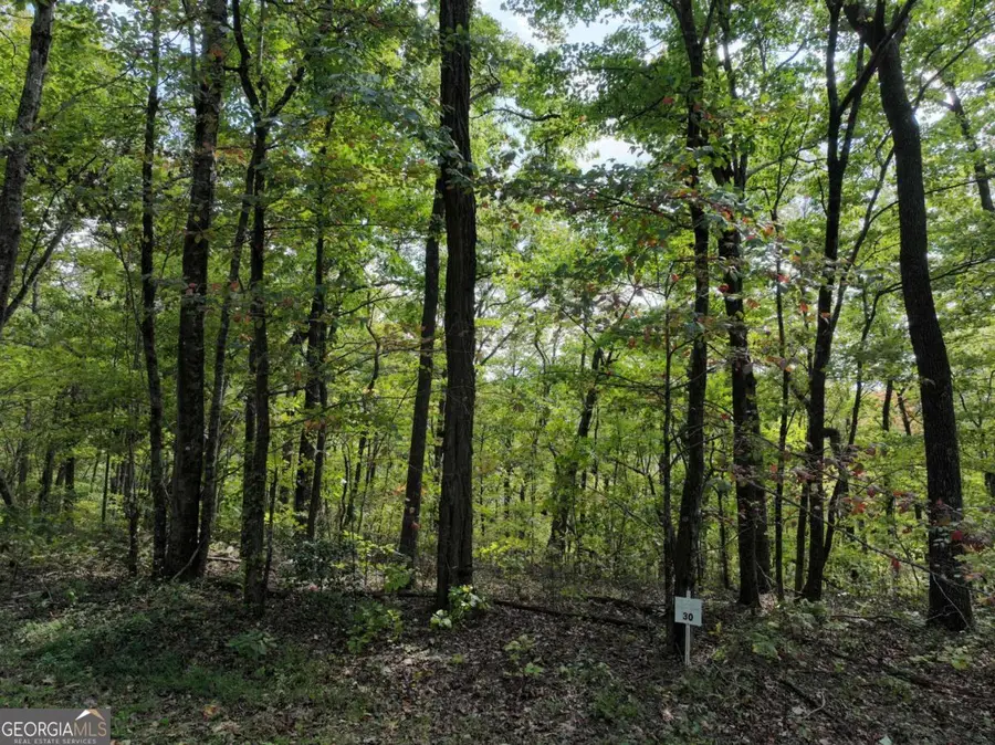 30 Andes Ridge, Jasper, GA 30143 - #2
