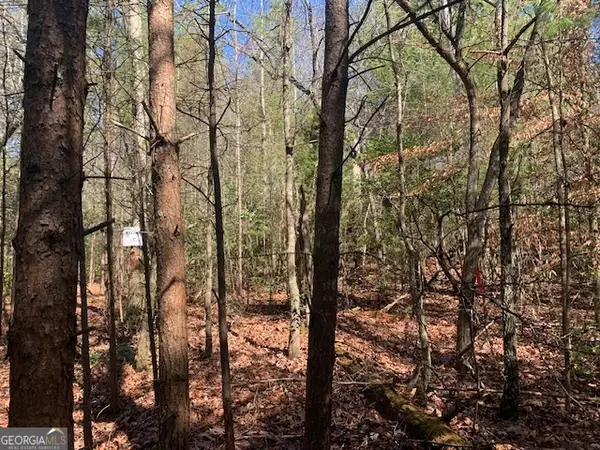 0 East New Hope Road #TRACT C, Ellijay, GA 30536