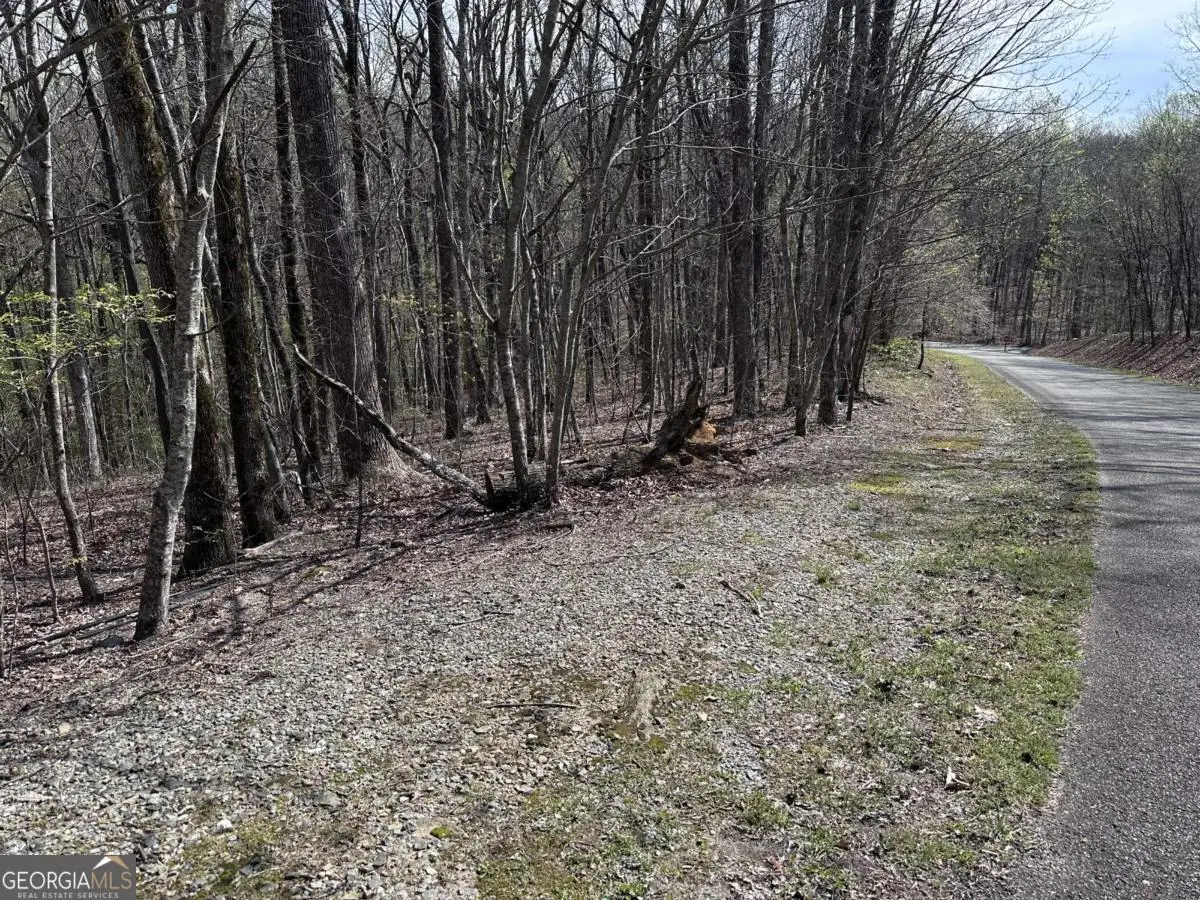 189 St Andrews Way, Ellijay, GA 30536 - #1