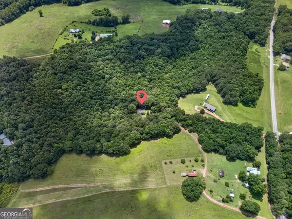 4104 W 5 Highway, Bowdon, GA 30108