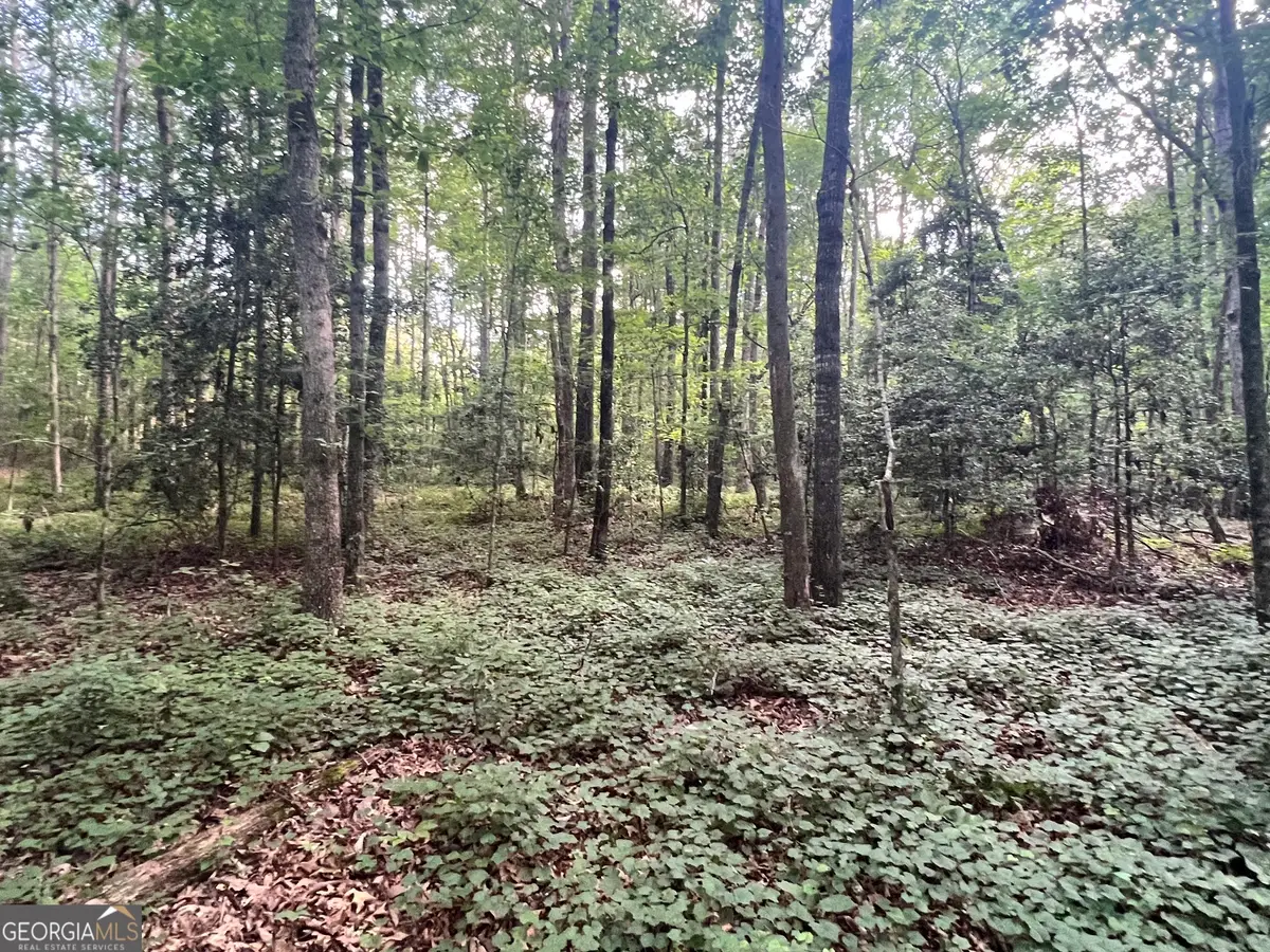 0 Craft Ferry Drive, Elberton, GA 30635 - #1