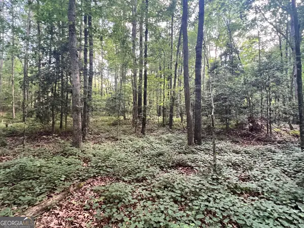 0 Craft Ferry Drive, Elberton, GA 30635