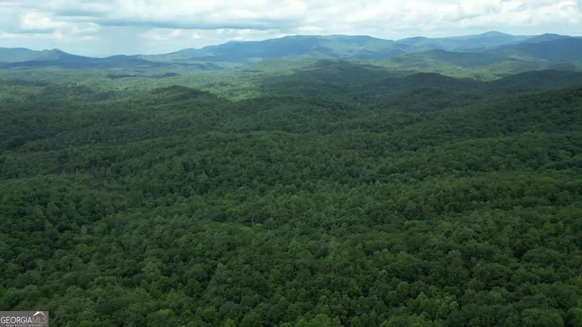 LOT 14 Oceola Drive, Ellijay, GA 30540 - #1