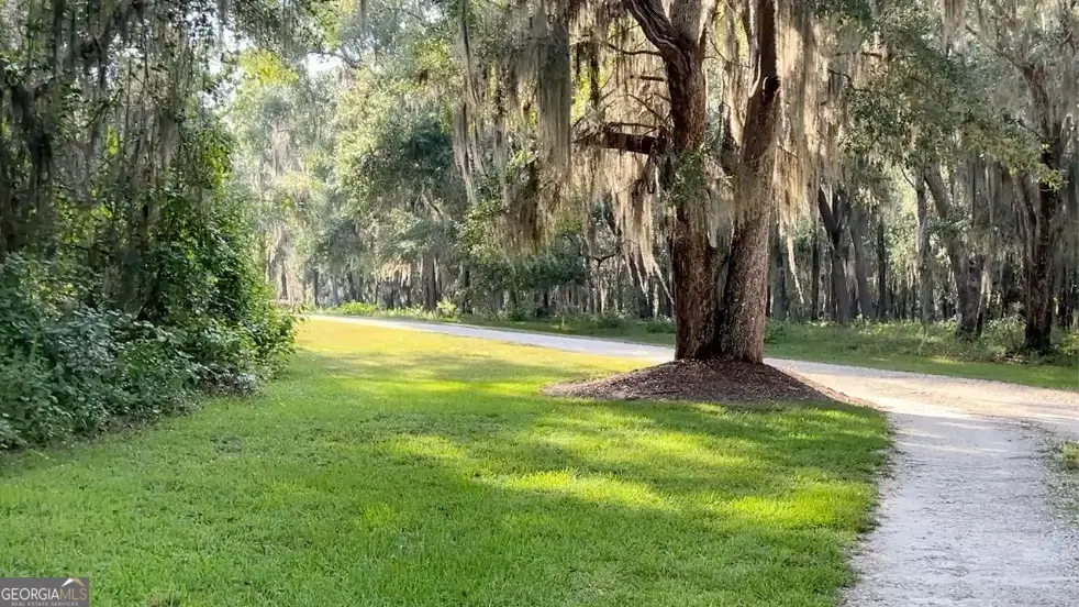 0 Wood Stork Drive, Darien, GA 31305 - #1