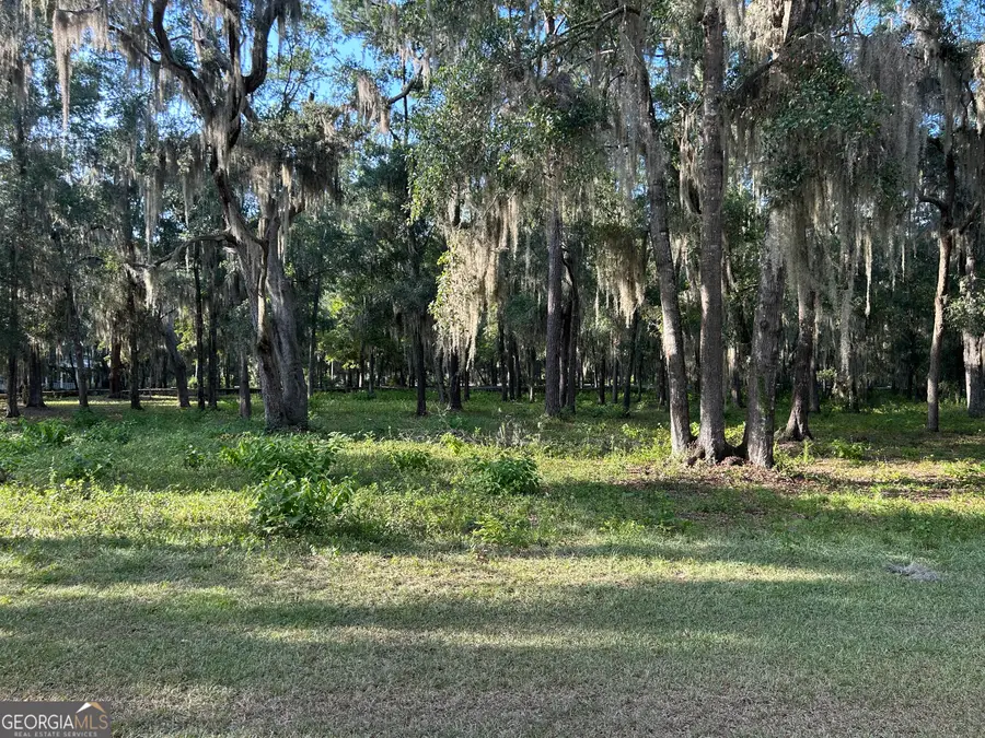 0 Wood Stork Drive, Darien, GA 31305 - #2