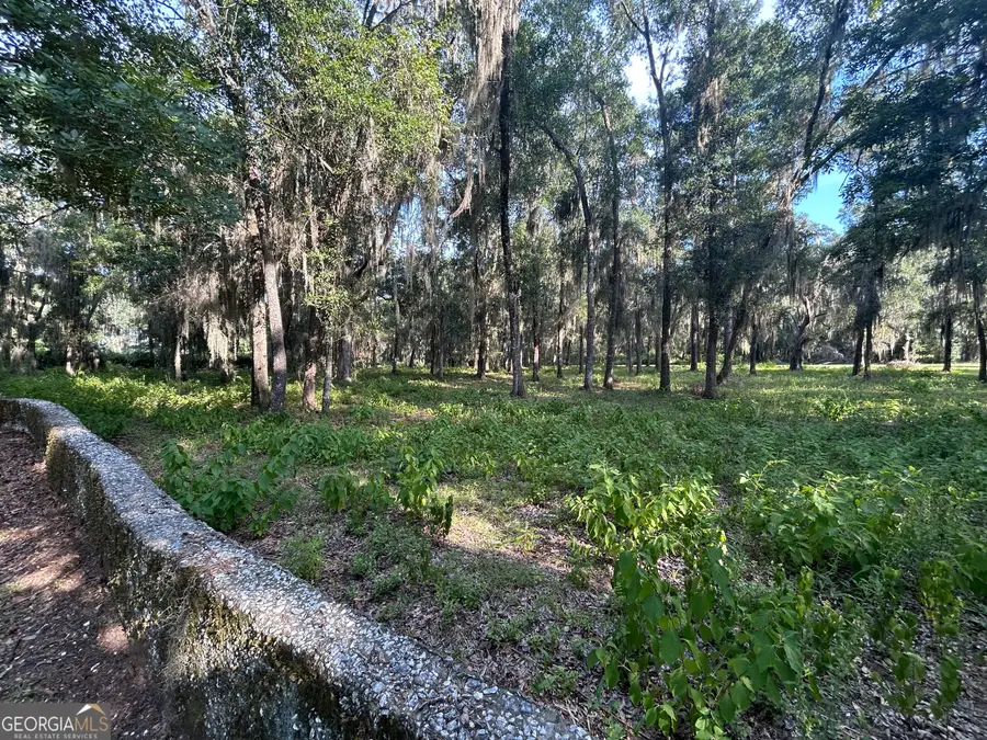 0 Wood Stork Drive, Darien, GA 31305 - #3