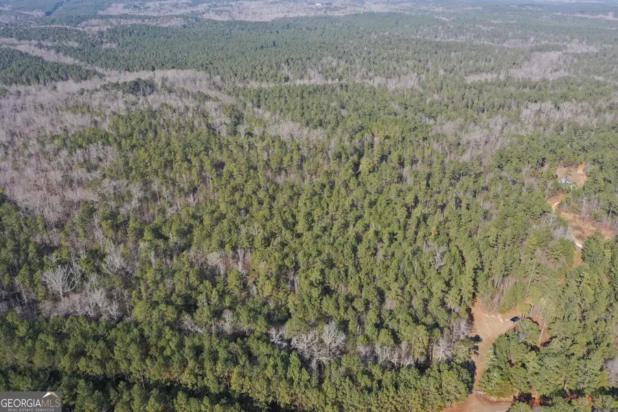 0 Hulmes Chapel Road, Elberton, GA 30635 - #3