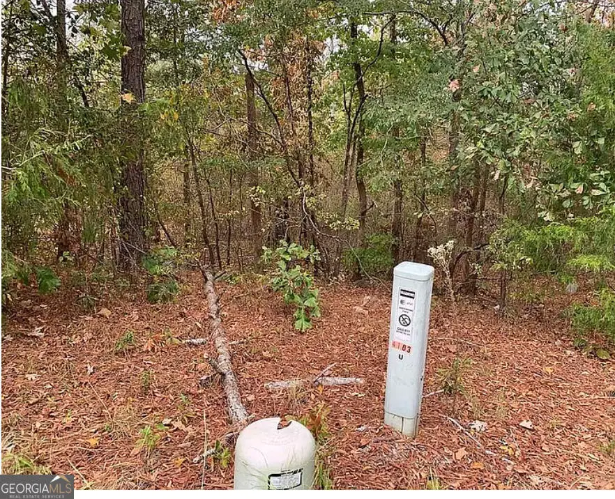 4103 Sierra Court Sw, Stockbridge, GA 30281 - #2